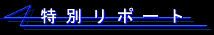���ʃ��|�[�g